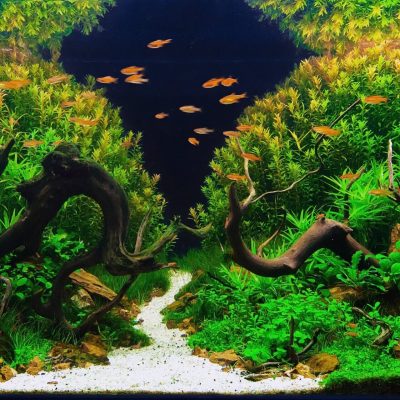 aquaspace-background aquaspace-background
